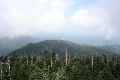 View at Clingmans Dome for the 2011 Golden Packet