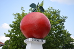 Cornelia - Big Red Apple