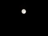 Moon Pics - DSC_3318.JPG
