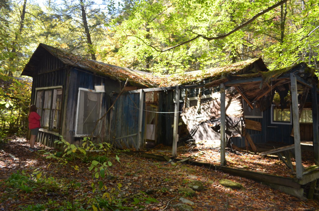 DSC_8624.JPG