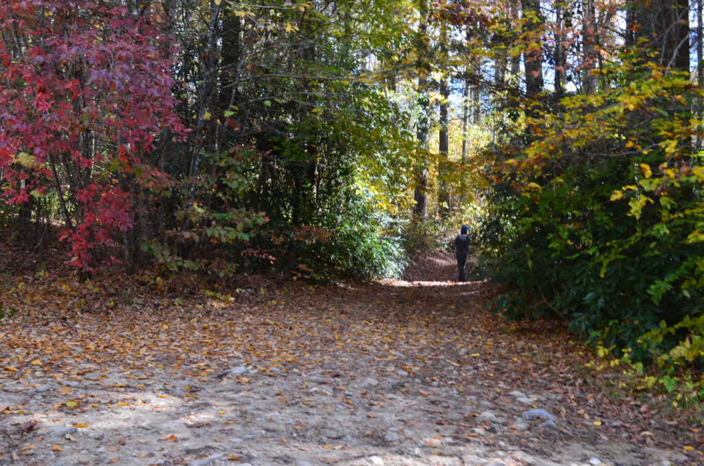 DSC_0704.JPG