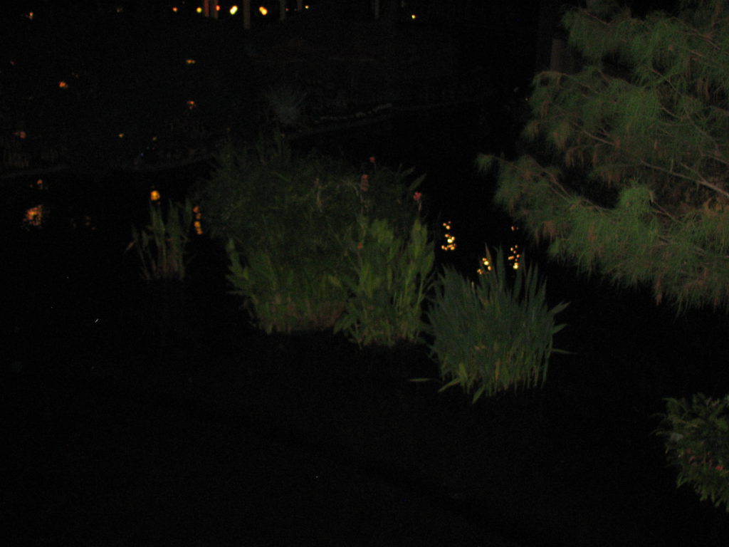 IMG_4389.JPG