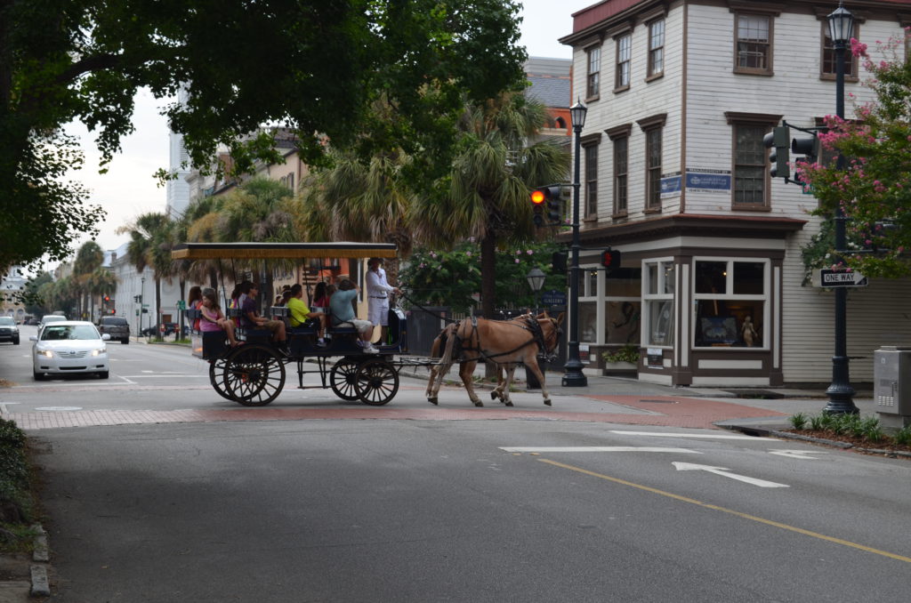 Carriage Ride