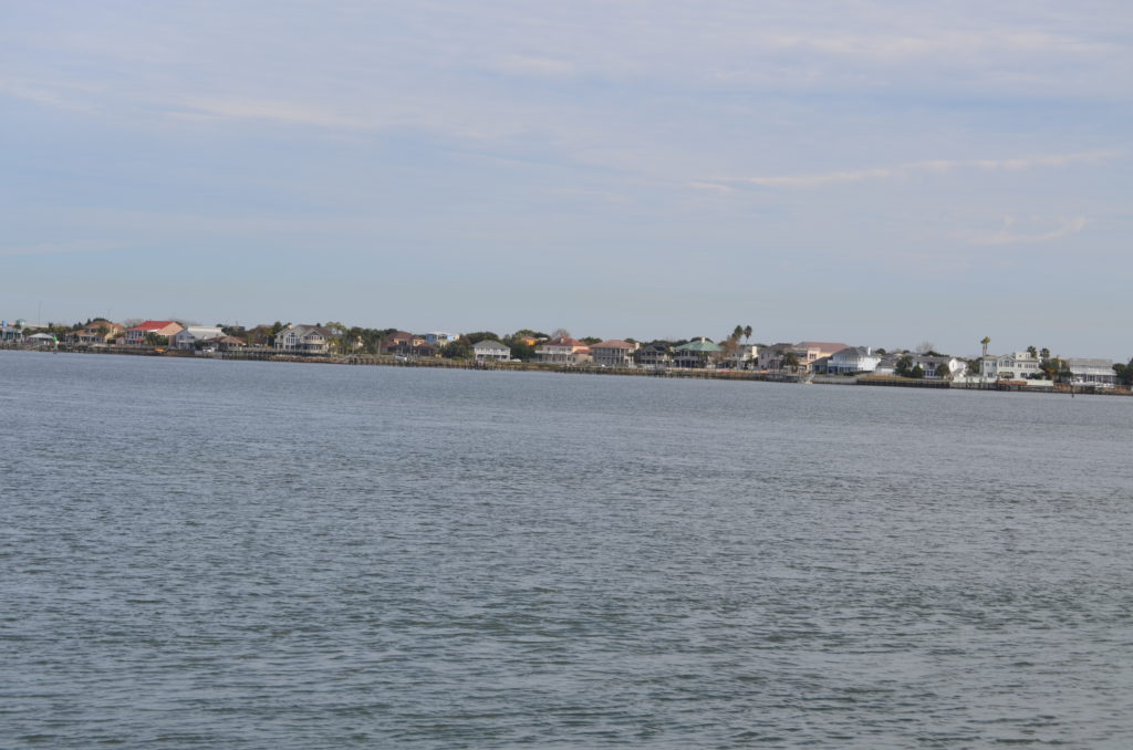 DSC_7243.JPG