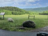 IMG_1881.JPG