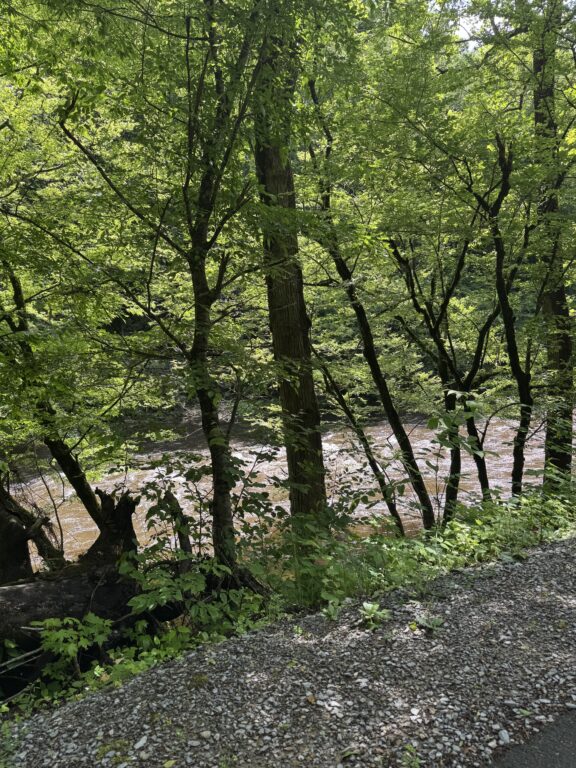 IMG_1893.JPG