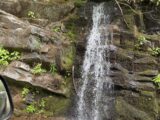 IMG_1897.JPG