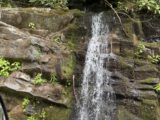 IMG_1898.JPG