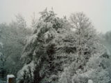 Snow Day - DSC00001.JPG