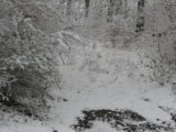 First Snow - IMG_5374.JPG