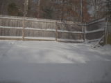 Snow around the house - DSC_3830.JPG