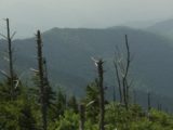 IMG_0518.jpg