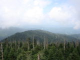 The View from Clingman's Dome