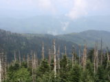 The View from Clingman's Dome