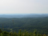 DSC_4662.JPG