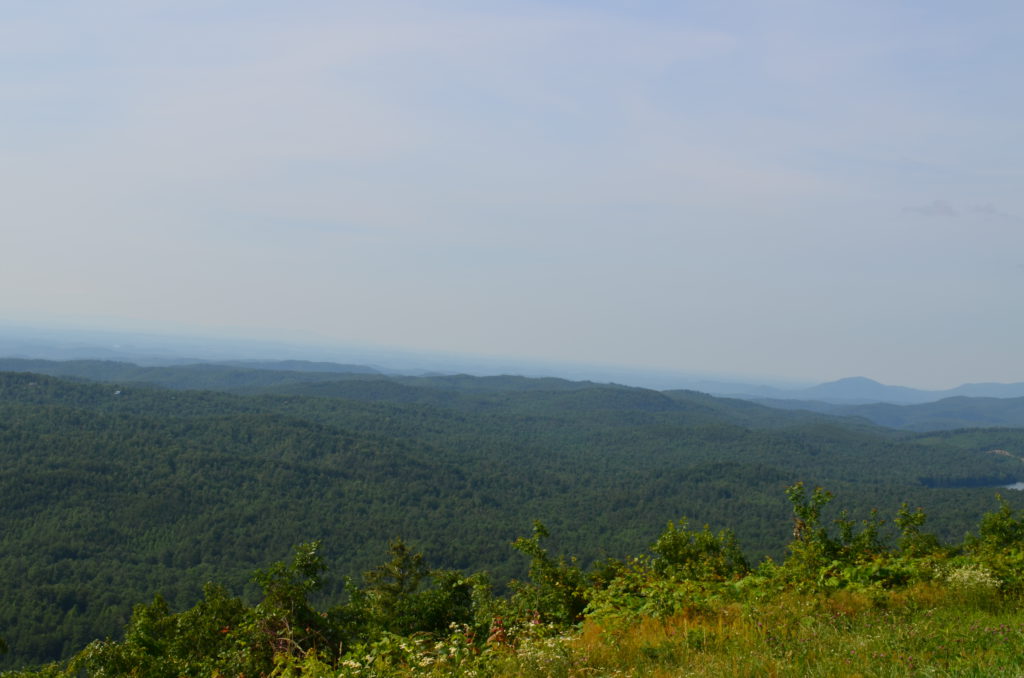 DSC_4664.JPG