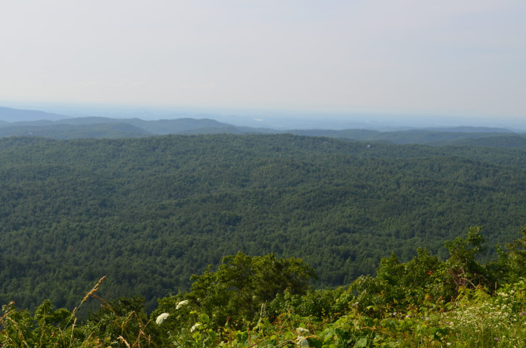 DSC_4665.JPG