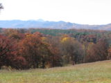 IMG_2564.JPG