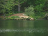 IMG_6529.JPG