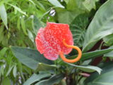 DSC_0012.JPG
