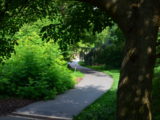 DSC_0096.JPG