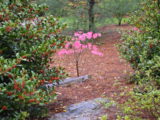 DSC_1355.JPG