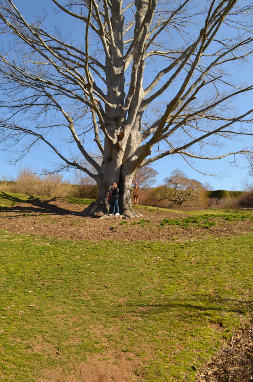 DSC_4333.JPG