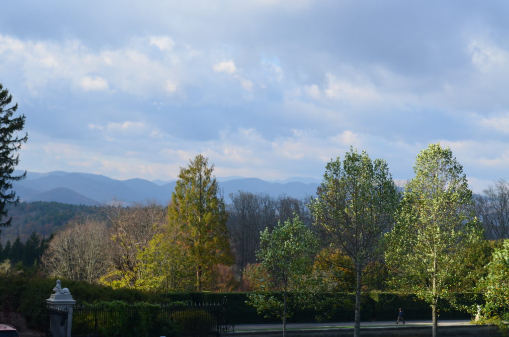 DSC_8707.JPG