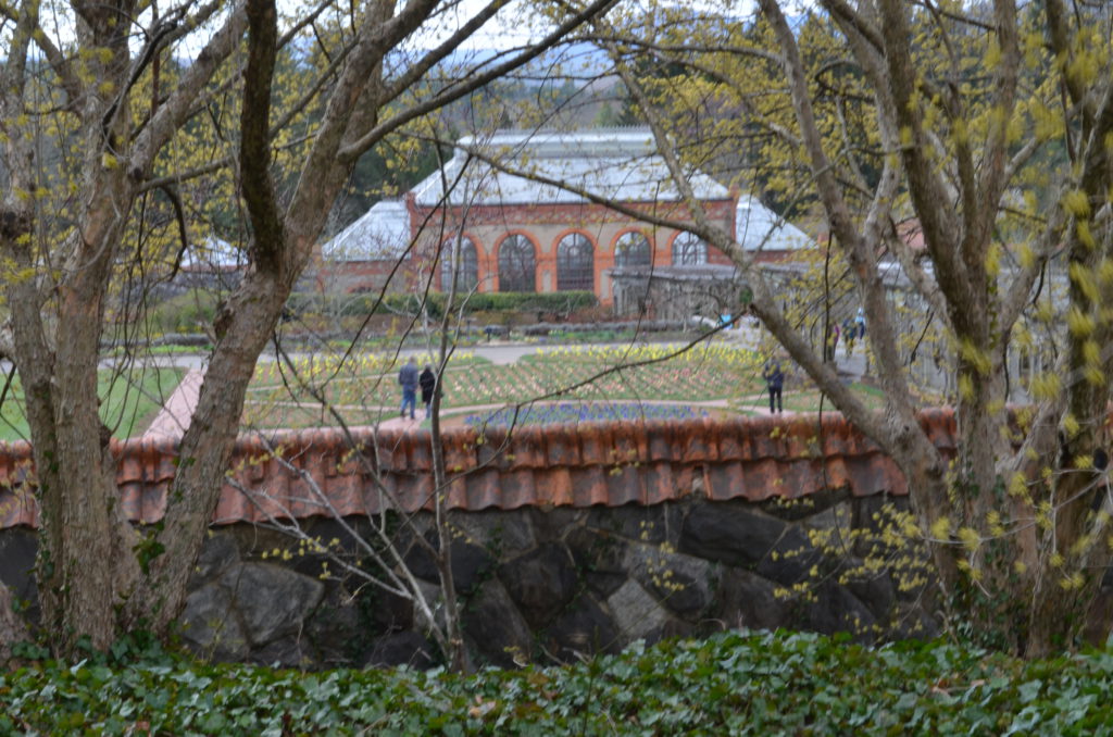 DSC_9577.JPG