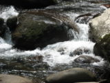 IMG_0072.JPG