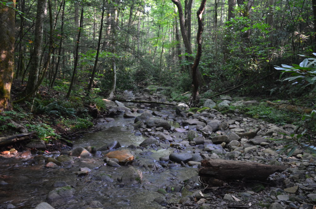 DSC_7947.JPG