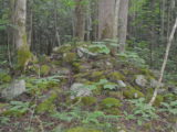 DSC_7969.JPG