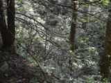 DSC_7982.JPG