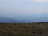 DSC_8878.JPG