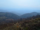 Max Patch - DSC_8900.JPG