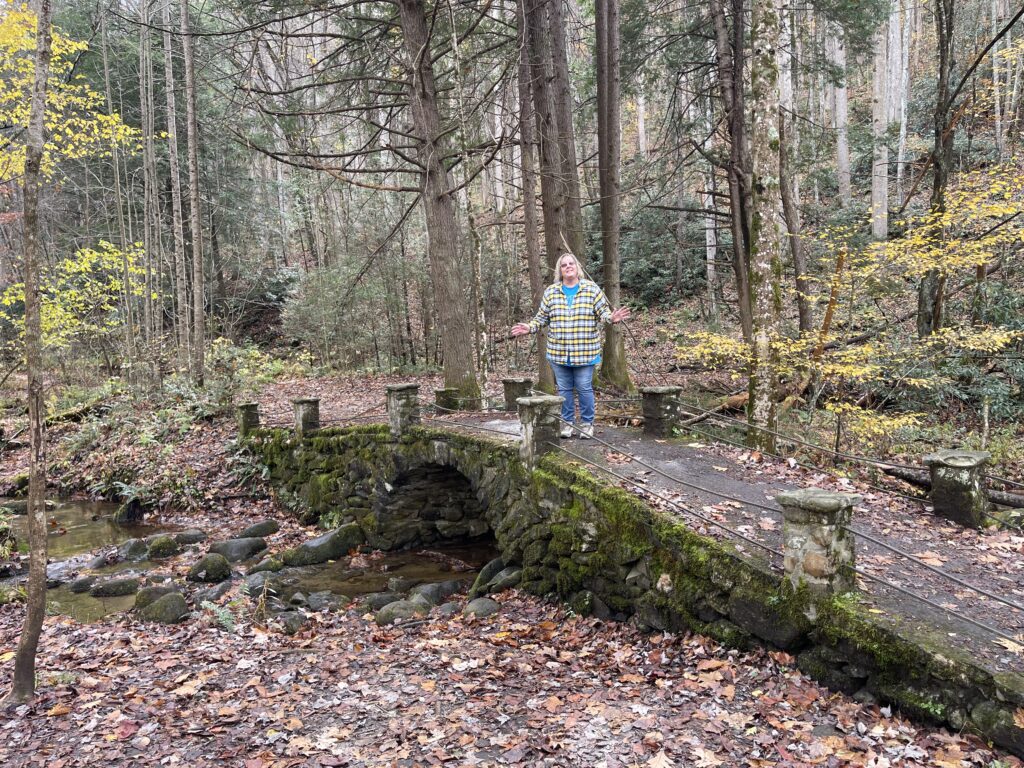 Lori on the Troll Bridge
