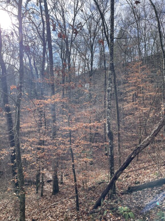 First sight of the arch