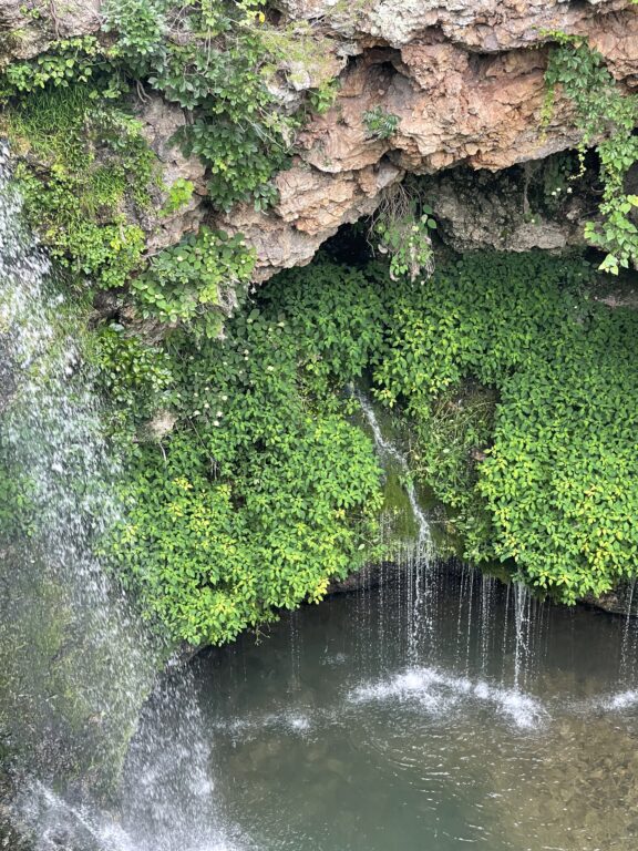 Dripping Springs Falls