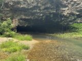 IMG_3187.HEIC