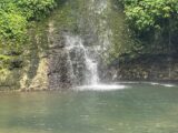 IMG_3193.HEIC