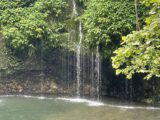 IMG_3194.HEIC