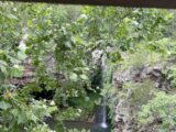 IMG_3205.HEIC
