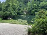 IMG_3212.HEIC