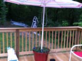 Pool Deck - IMG_1344.jpg