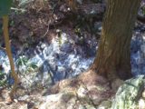 WaterfallPics - IMG_0036.jpg