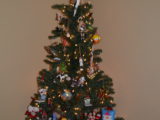 Christmas Tree - DSC_0578.JPG
