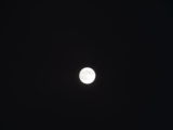 Blue Moon - DSC_3291.JPG