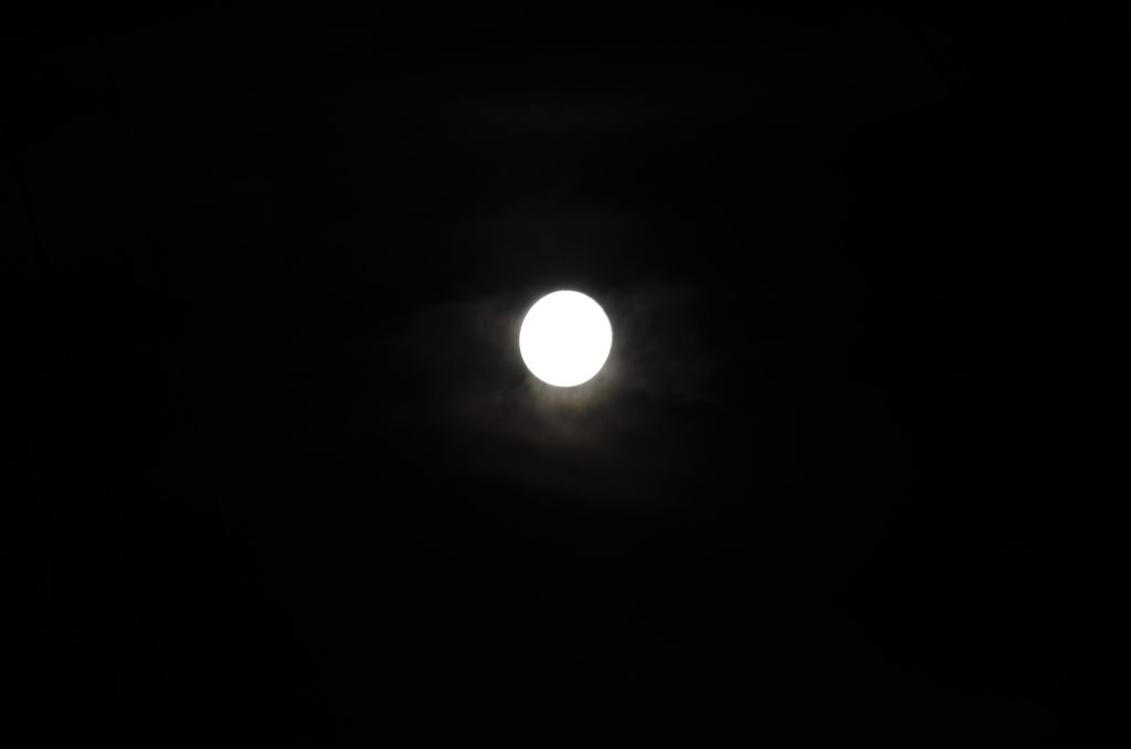 DSC_3315.JPG