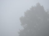 DSC_3440.JPG