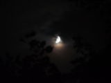 DSC_3461.JPG